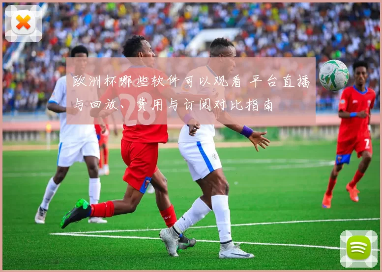 欧洲杯哪些软件可以观看 平台直播与回放、费用与订阅对比指南