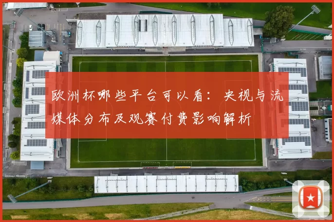 欧洲杯哪些平台可以看：央视与流媒体分布及观赛付费影响解析