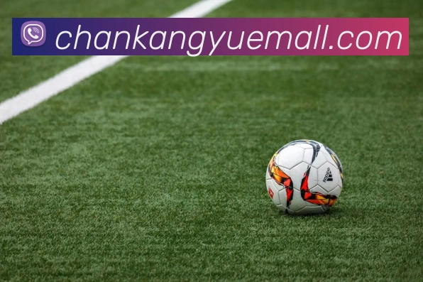 欧宝官方端网站登录入口 - 欧宝(中国)发展历程